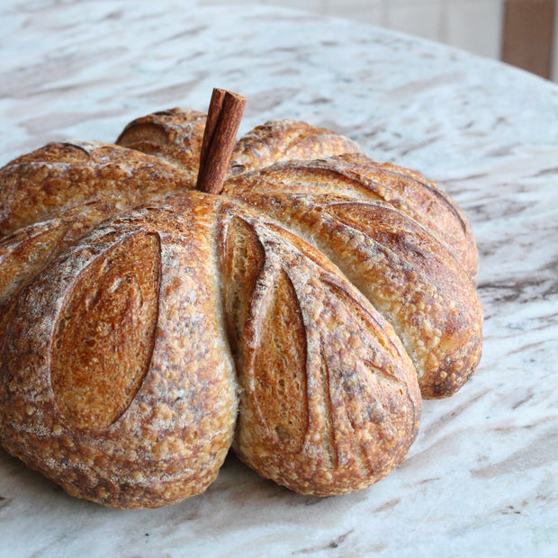 The "Classics" Bundle